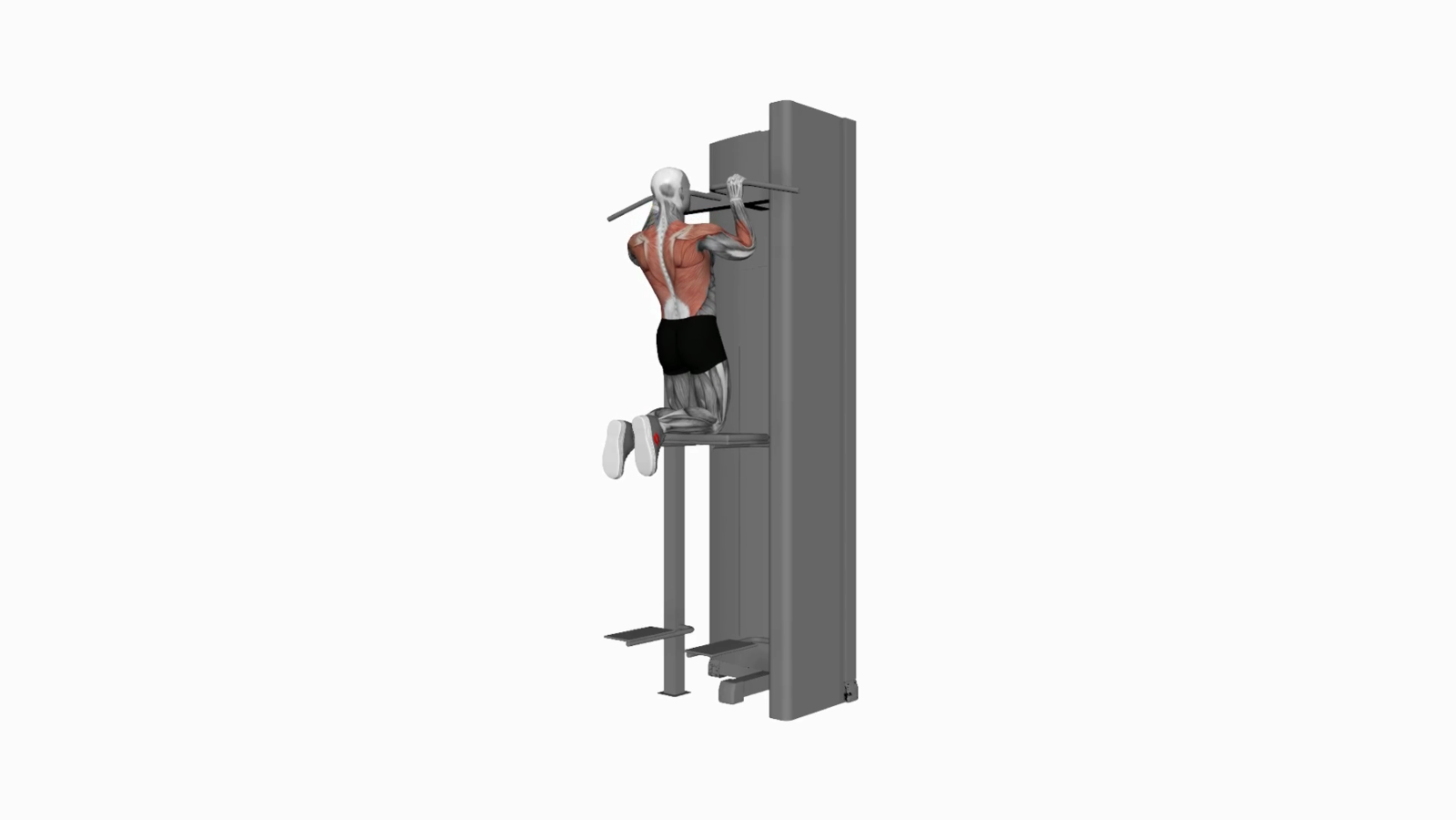 Assisted PullUp A StepbyStep Guide to Strength Building 1000+ FREE workouts, fitness