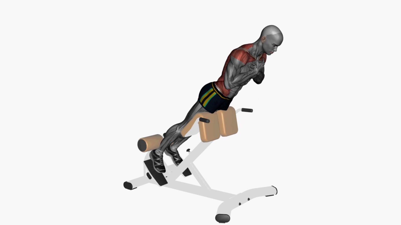 Maximize Your Strength with the Back Extension Machine