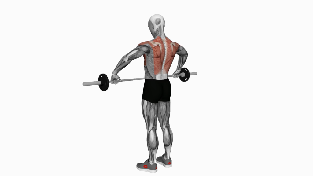 Mastering the Barbell Wide Grip Upright Row for Impressive Shoulder Gains