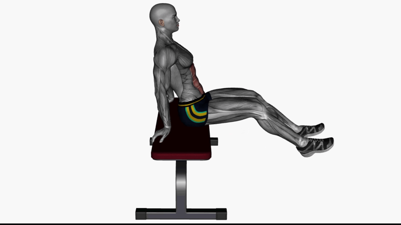 Bench Knee Tucks All You Need to Know 1000+ FREE workouts, fitness