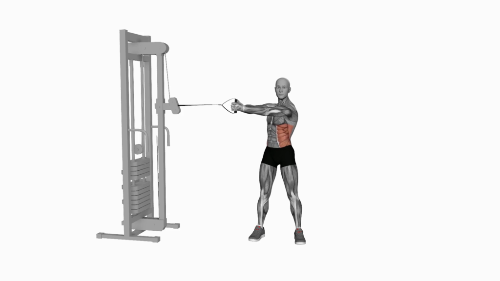 Master the Cable Twist: A Core-Strengthening Exercise Guide