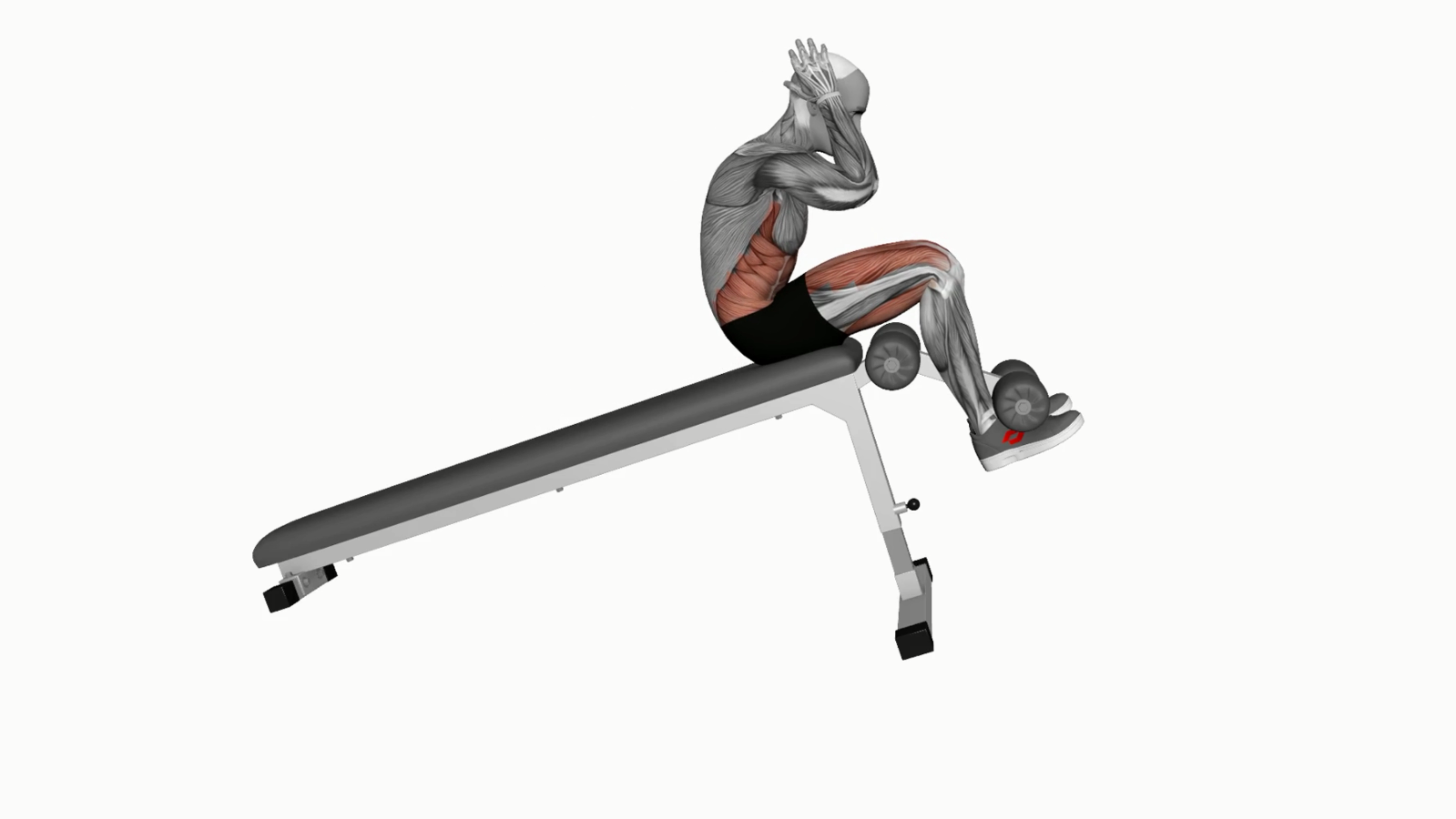 Decline Bench SitUp Exercise All You Need to Know