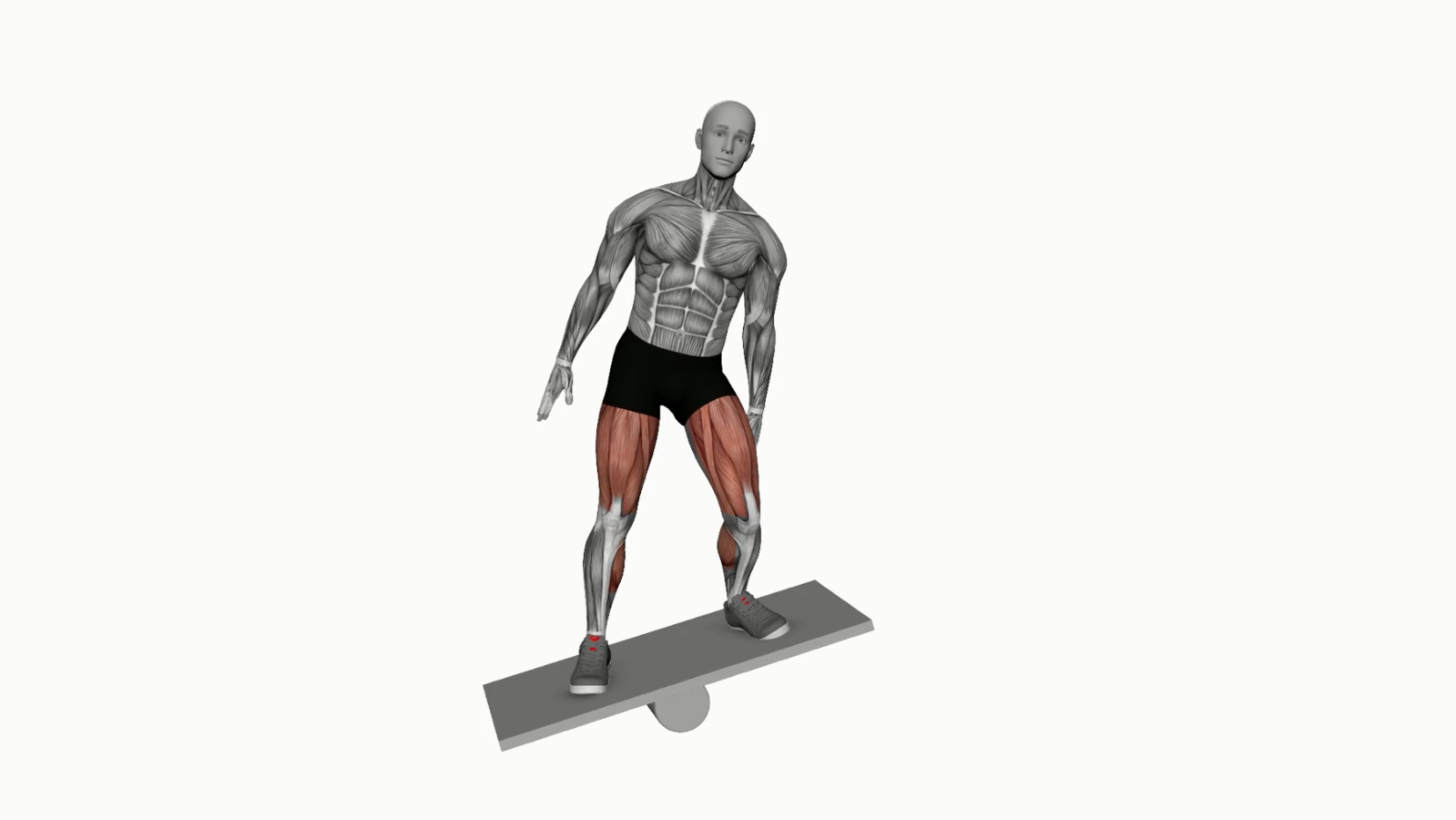 Perfecting the Balance Board Lateral Squat A Beginner's Perspective
