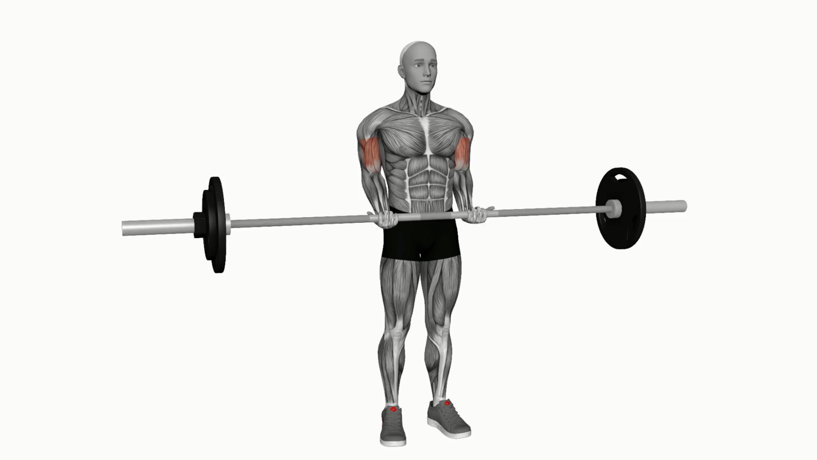 Master the Barbell Standing Close Grip Curl A Beginner's Guide to