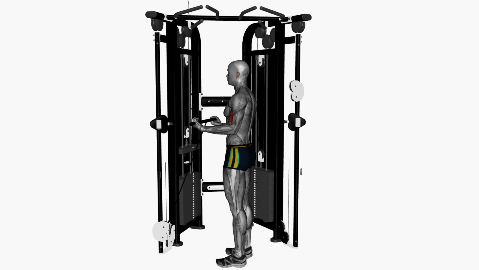 Transform Your Arm Workouts with The Biceps Curl Cable Wide Grip Crossover Your Beginner