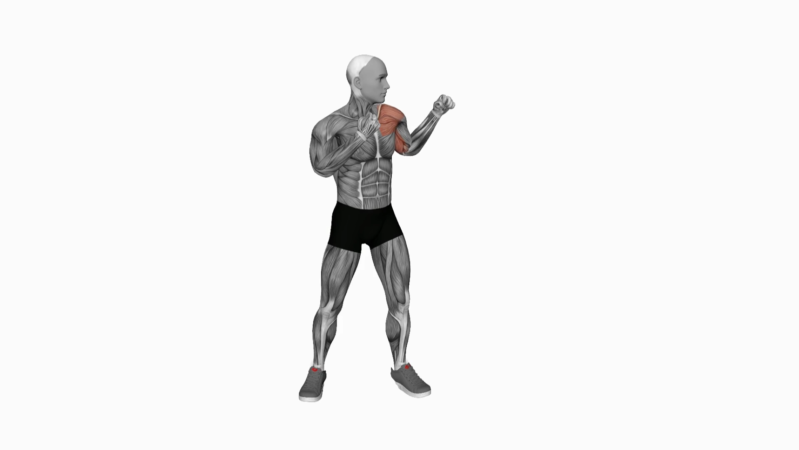 Mastering the Boxing Jab A Comprehensive Guide for Beginners 1000