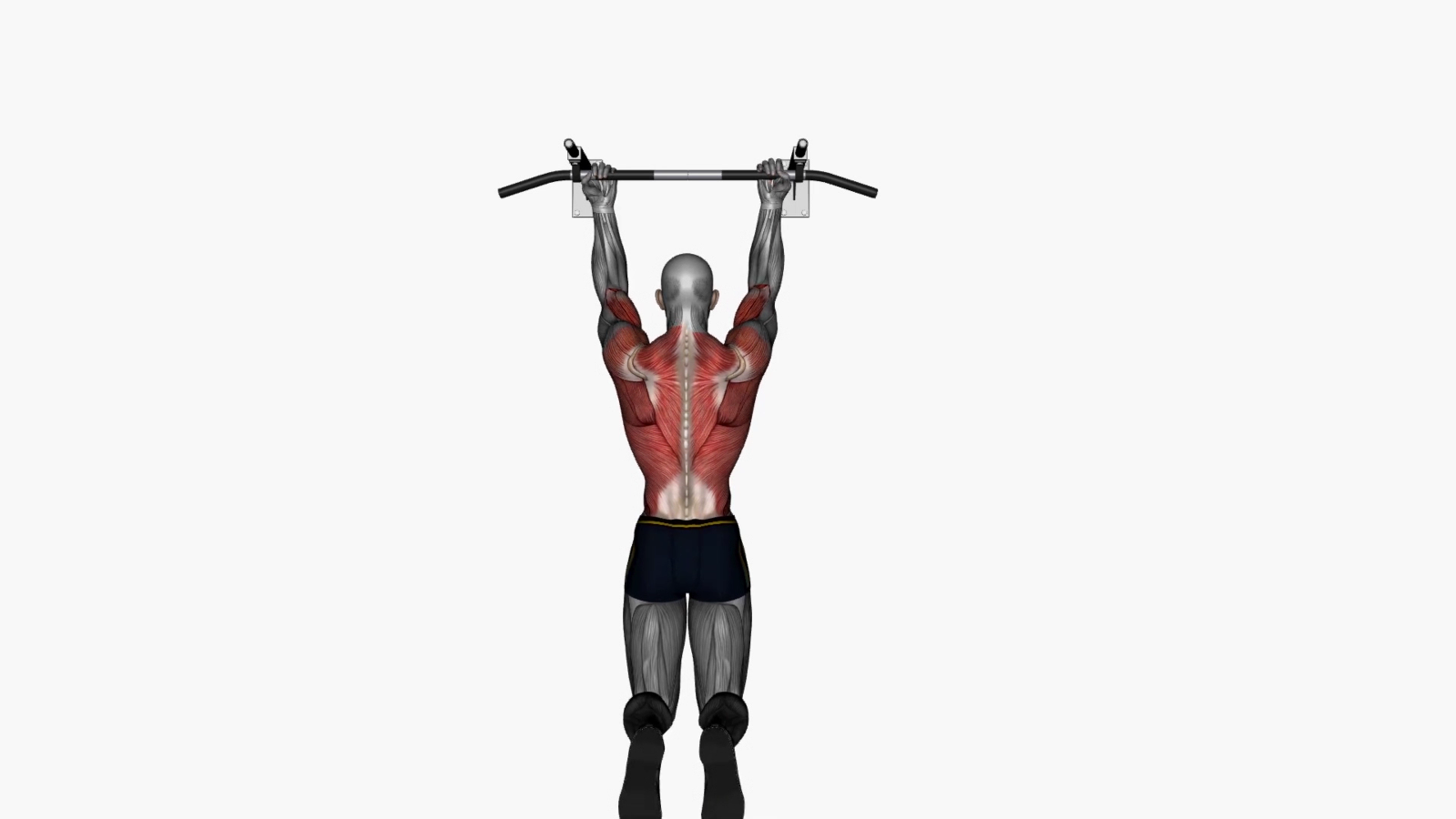 Mastering the Chin Up Reverse Wide Grip: Your Ultimate Guide to Mastering the Chin Up Reverse Wide Grip: Your Ultimate Guide to