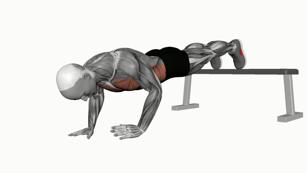 Beginner performing Decline Shoulder Tap Exercise with correct posture.