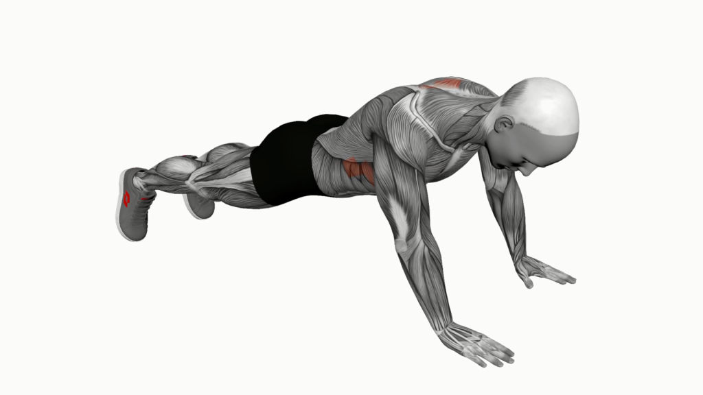 Illustration of a beginner doing a scapula push up, demonstrating proper posture and alignment.