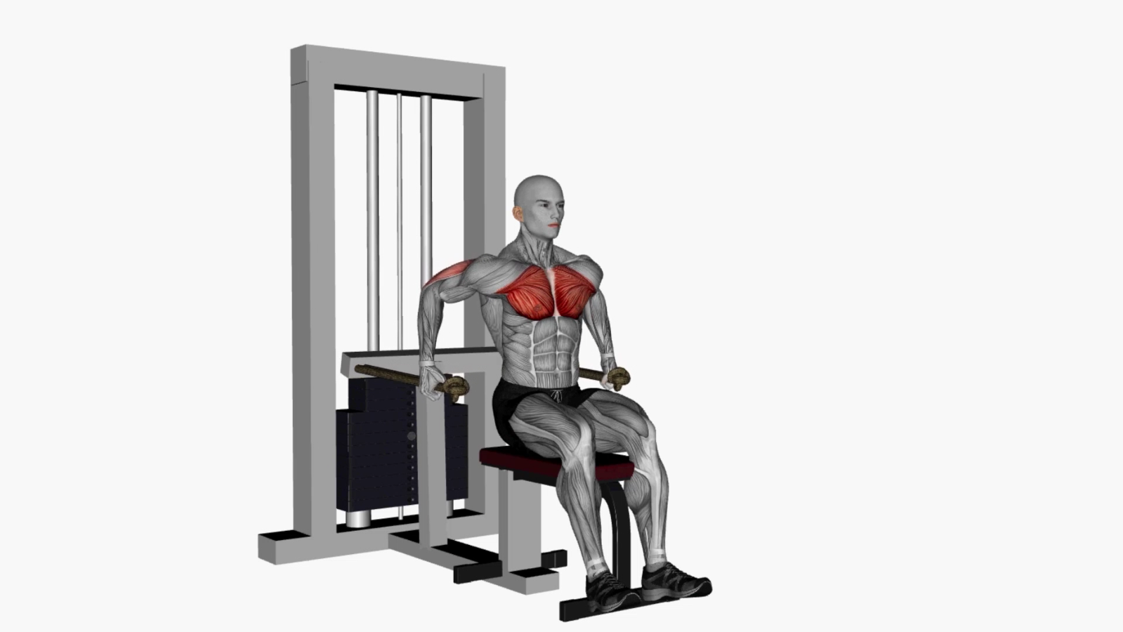 Master the Chest Dip Machine A Beginner's Guide to Effective Exercise 1000+ FREE workouts