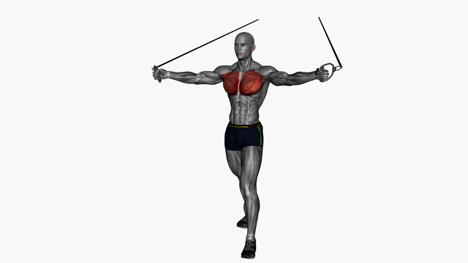 Master the Chest Fly High to Low with Resistance Bands A Beginner's