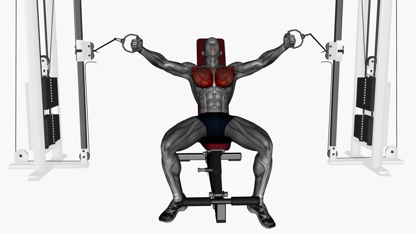 Mastering the Incline Bench Cable Fly Your Ultimate Guide to Sculpting