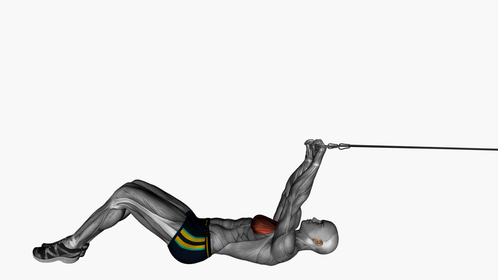 Master the Lying Pull Over with Resistance Band A Beginner's Guide to