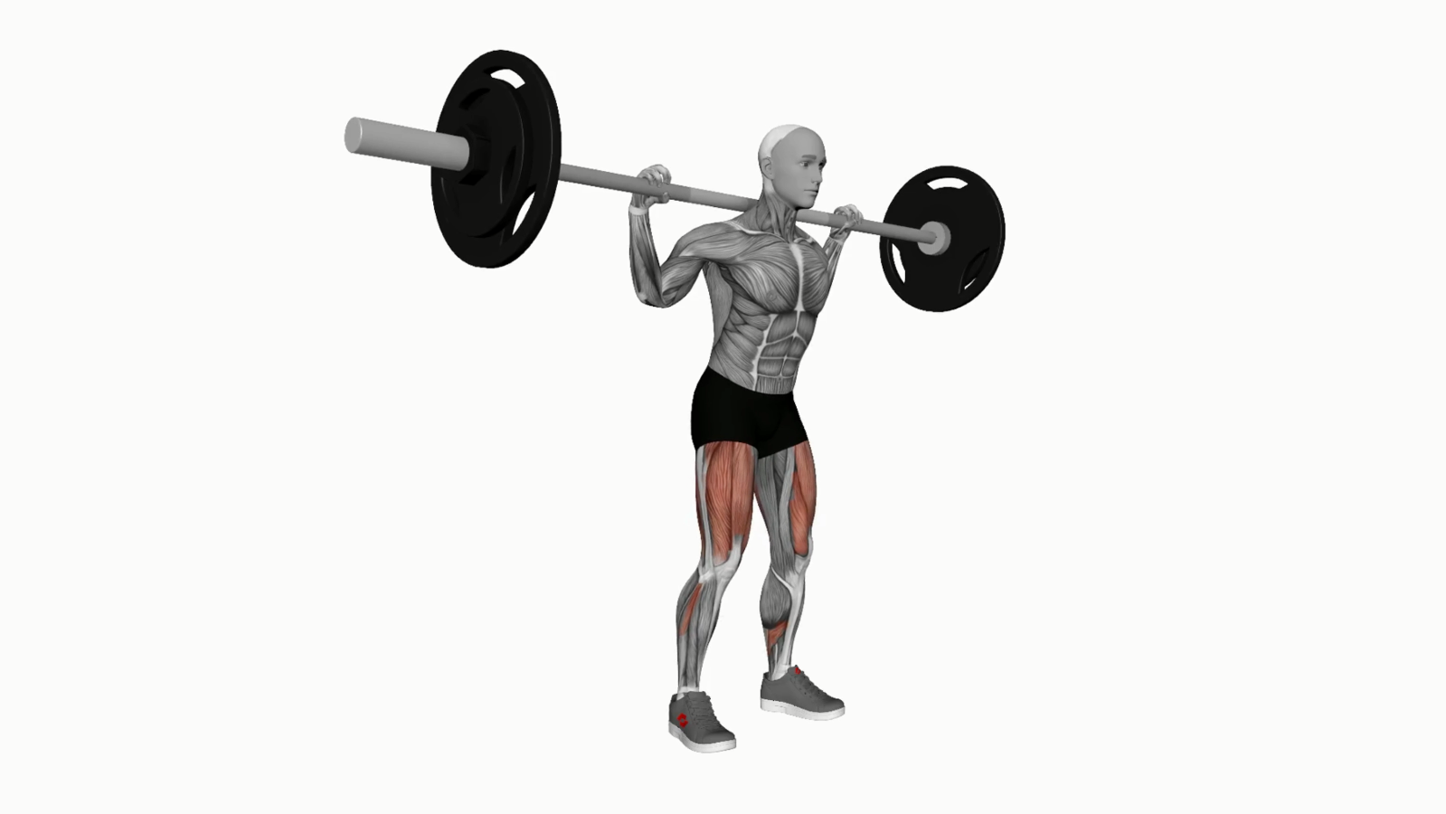 Mastering the Low Bar Squat A Beginner's StepbyStep Guide 1000