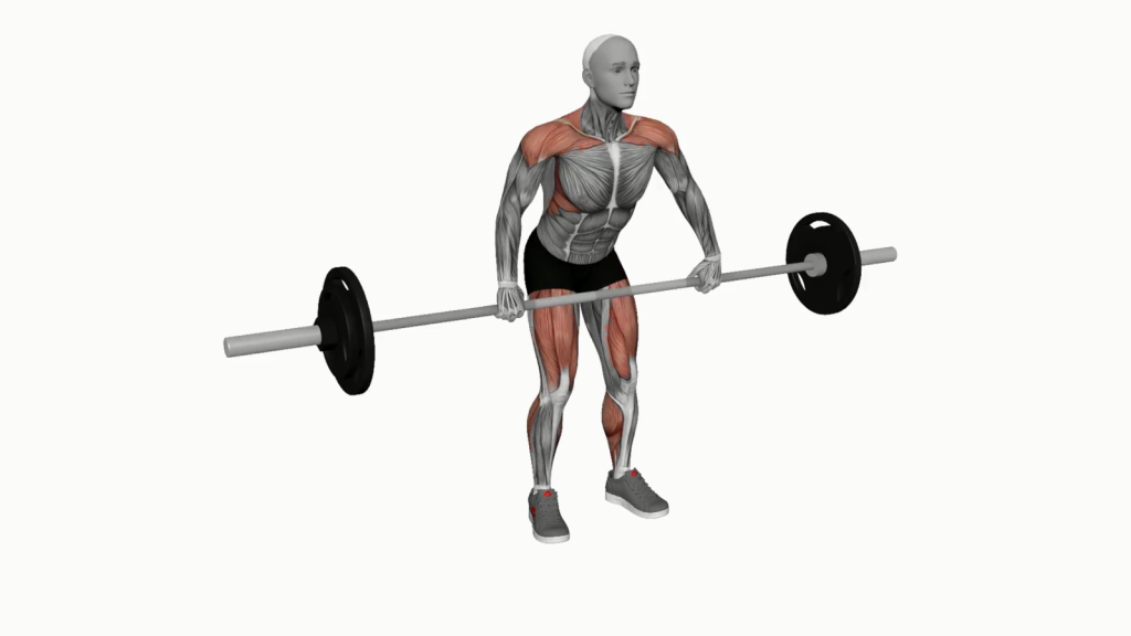 Person performing a Barbell Snatch Pull in a gym setting