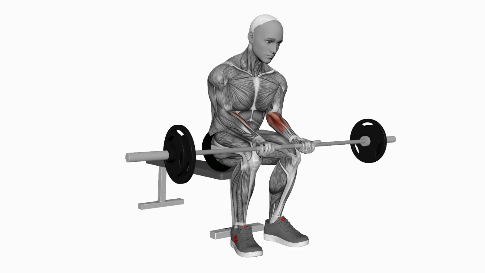 Mastering Barbell Wrist Curls on Knees A Beginner's Guide