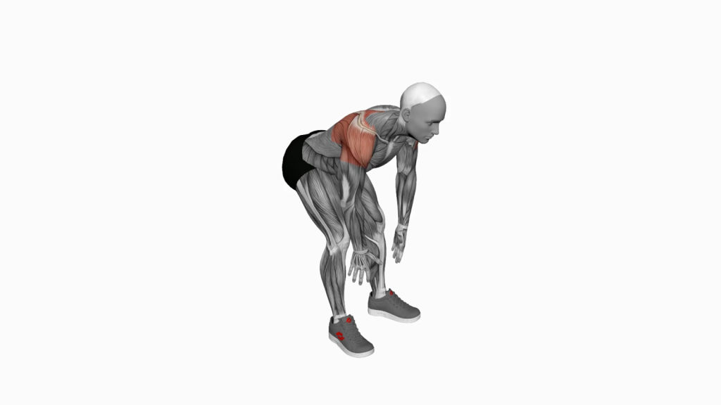 Beginner performing the Bodyweight Bent Over Rear Delt Fly for shoulder strength