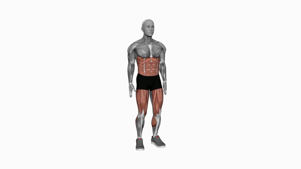 Illustration of a beginner executing a Bodyweight Squat transitioning into a Front Leg Raise