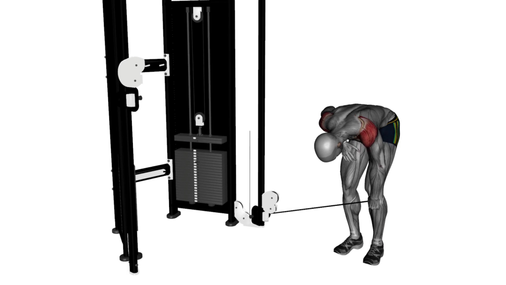 Beginner doing Cable Bent Over Lateral Raise Single Arm in a gym setting.