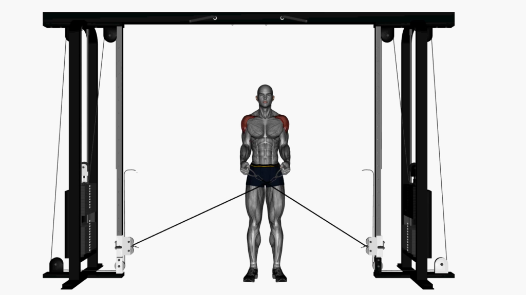 Beginner exercising with Cable Lateral Raises at the gym.