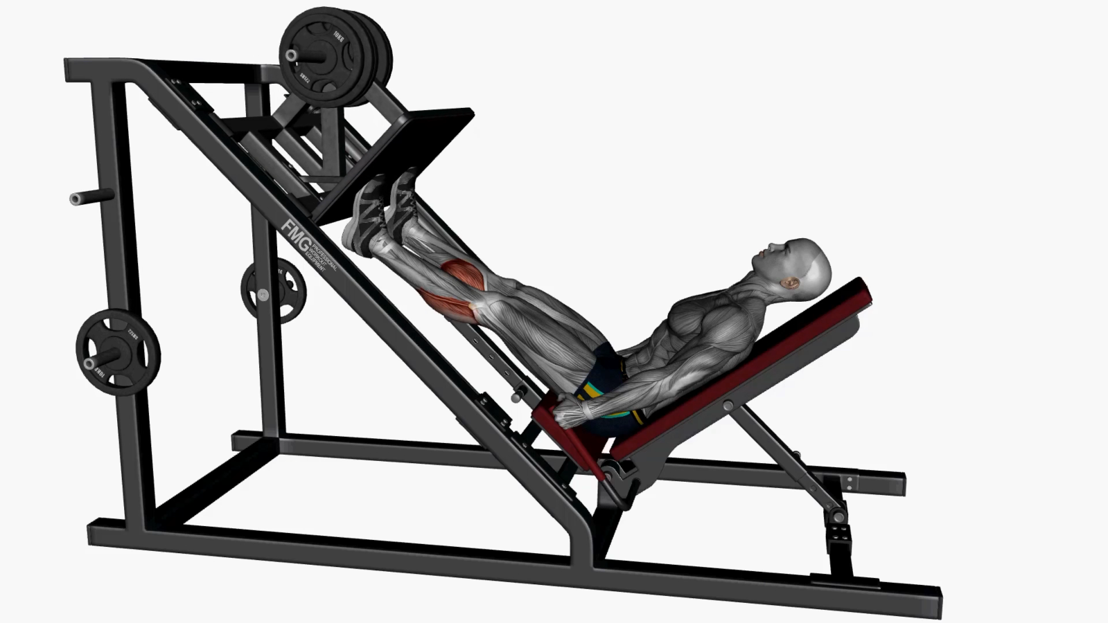 Master the Calf Raise Leg Press Your Ultimate Guide to Stronger Calves