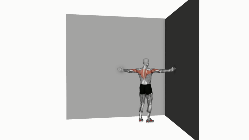 Beginner performing corner wall chest stretch against a wall to improve flexibility and posture