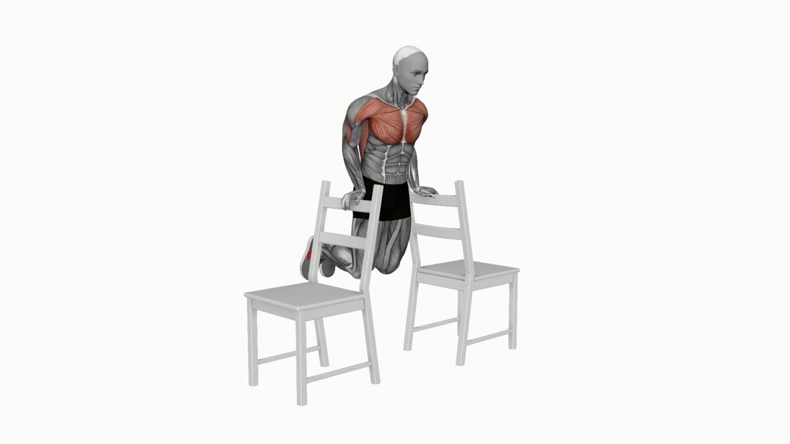 Master the Art of Dips Between Chairs A Beginner’s Guide to Boosting