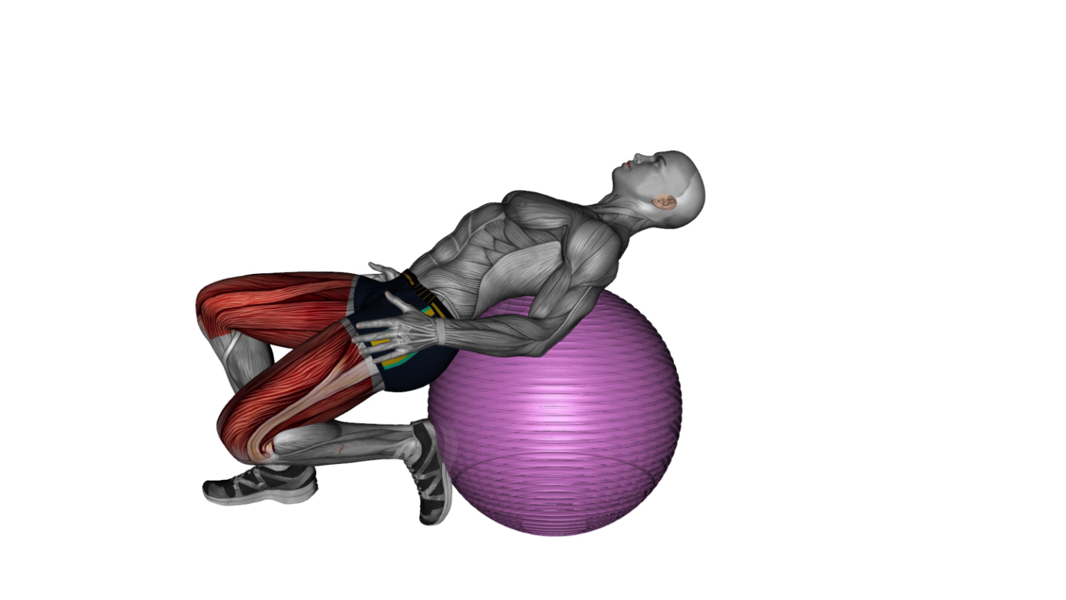Unlock the Benefits of Exercise Ball Lower Back Prone Stretch A
