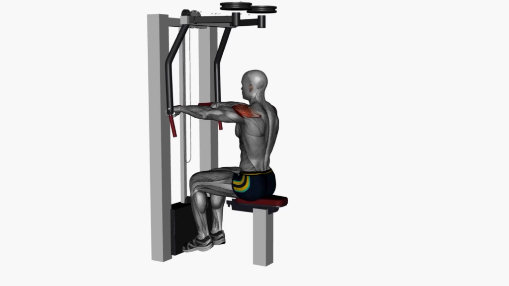 Beginner performing Reverse Machine Fly on machine, demonstrating proper posture and technique.