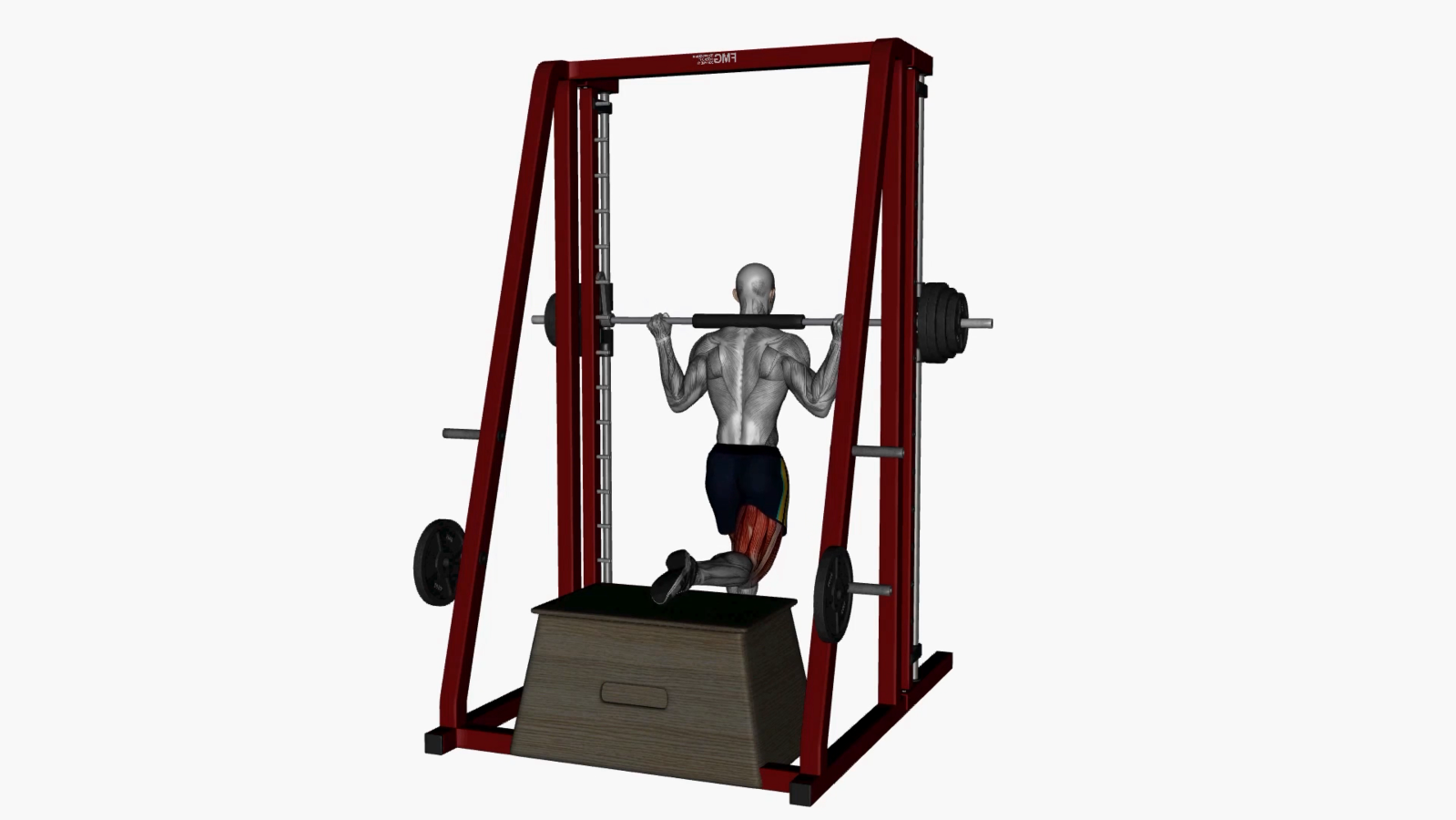 Mastering the Smith Machine Bulgarian Split Squat A Beginner's Guide