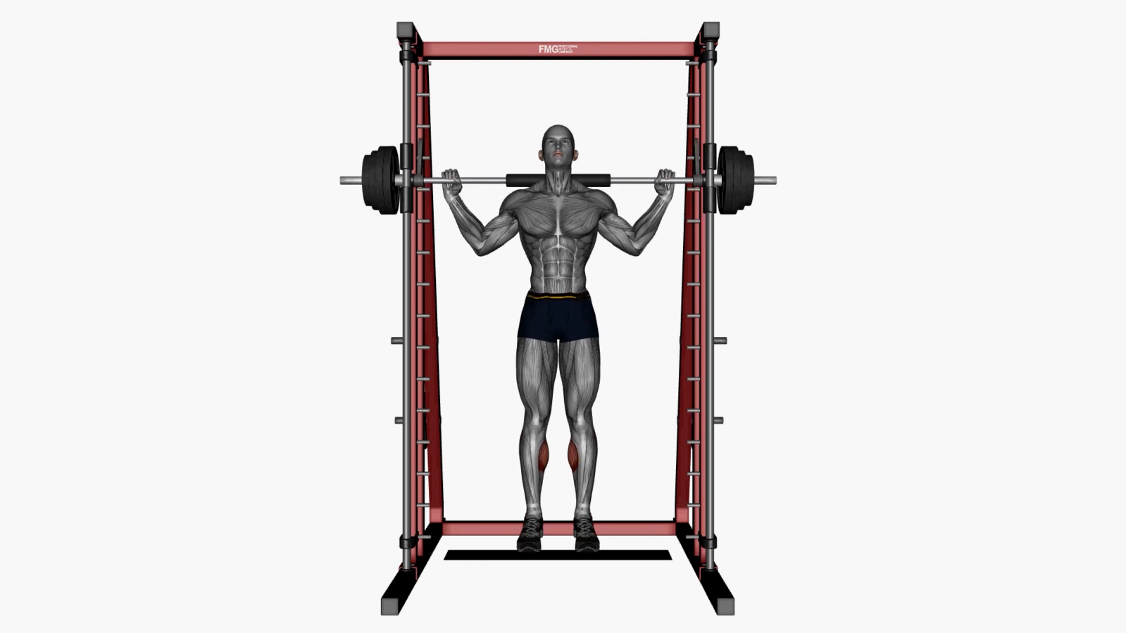 Master the Smith Machine Calf Raise A StepbyStep Beginner's Guide