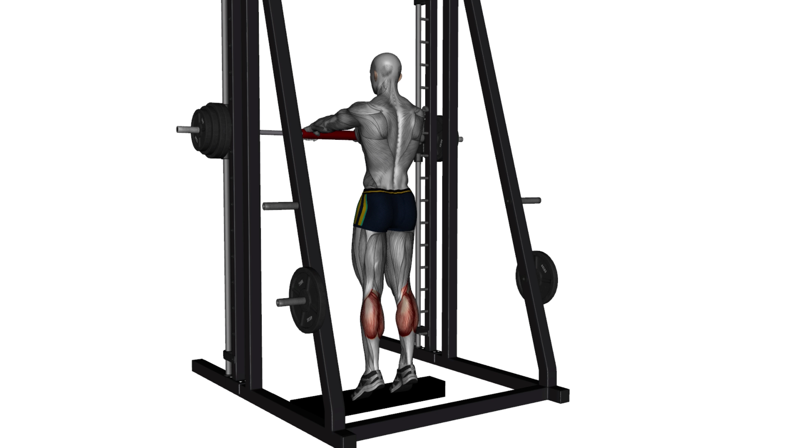 Mastering Standing Calf Raises on the Smith Machine A Beginner's Guide